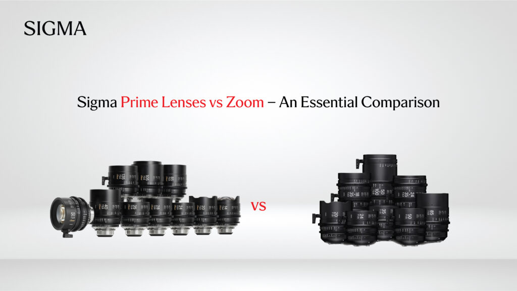 Sigma Prime Lenses vs Zoom – An Essential Comparison