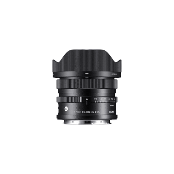 17MM F4 DG DN _ C