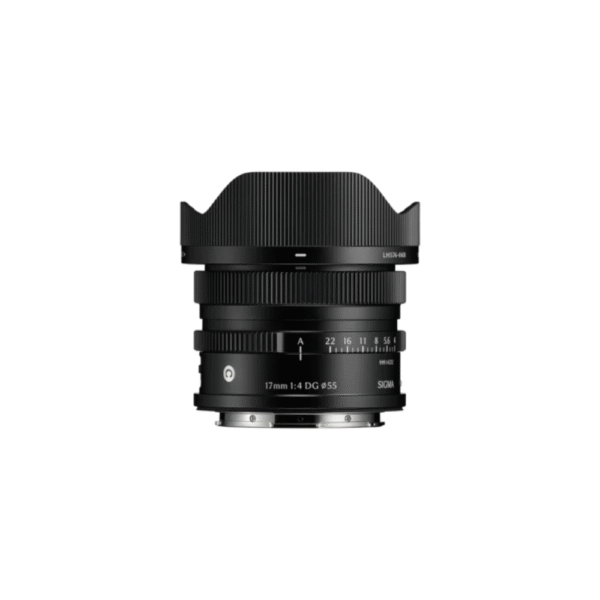 17mm F4 DG _ C
