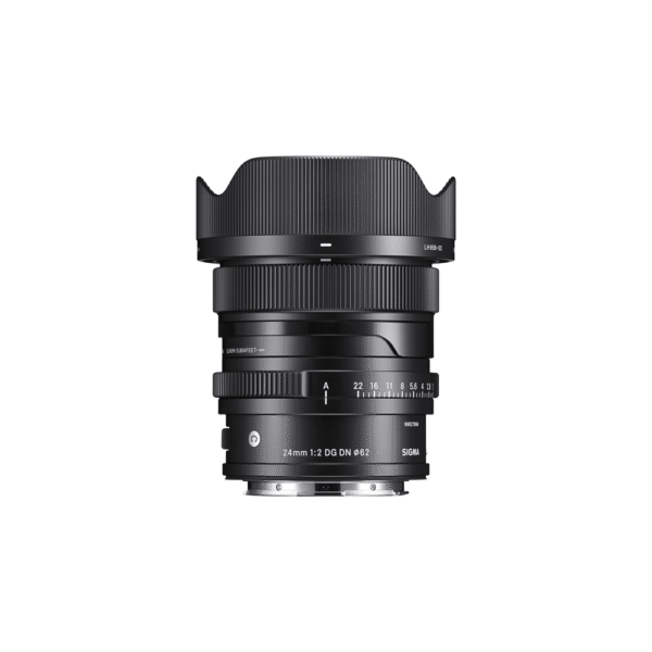 24MM F2 DG DN _ C