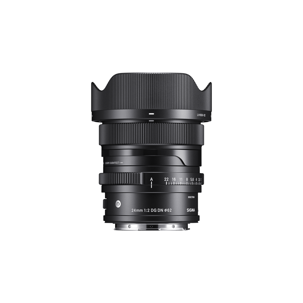 24MM F2 DG DN _ C