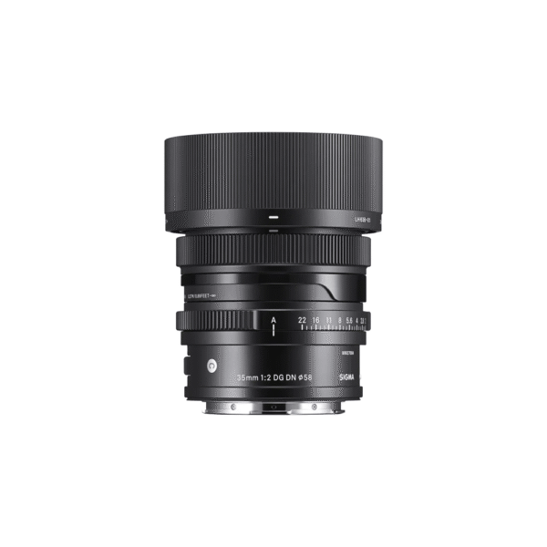 35mm F2 DG DN