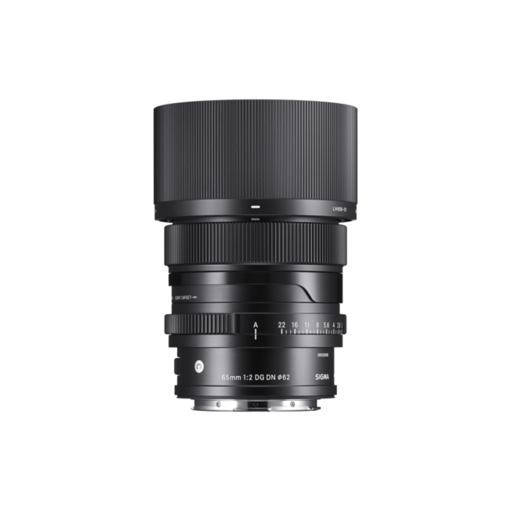 65MM F2 DG DN _ C