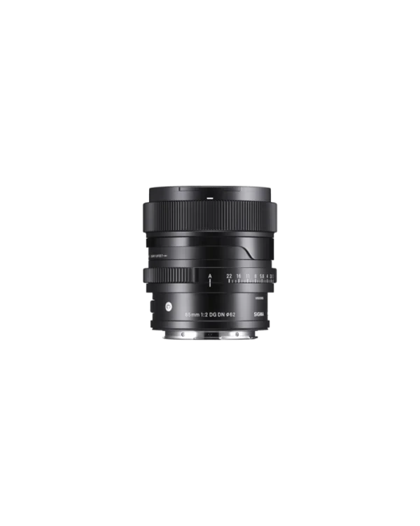 65mm F2 DG DN