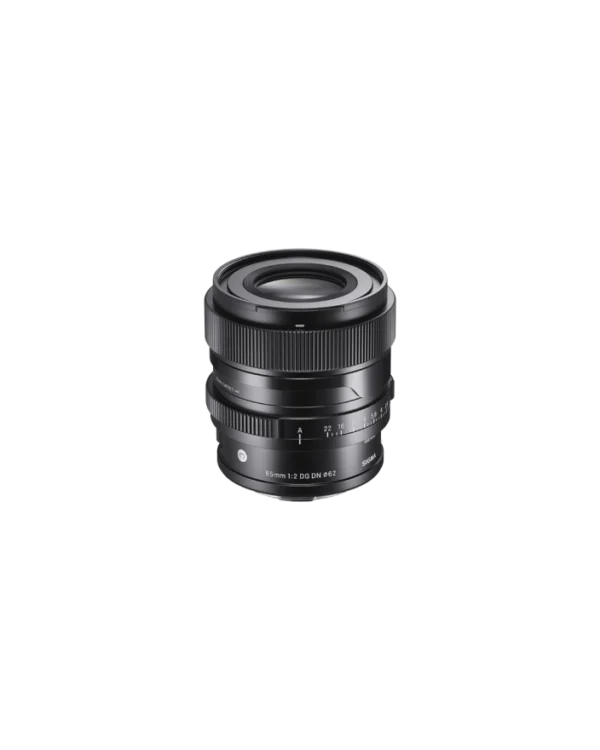 65mm F2 DG DN