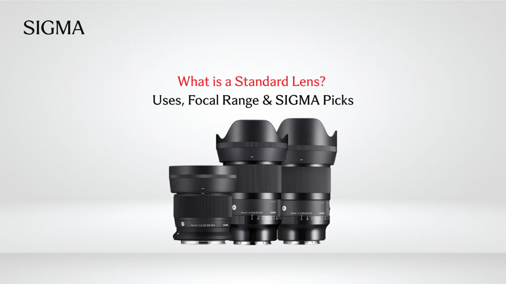 What is Standard lenses