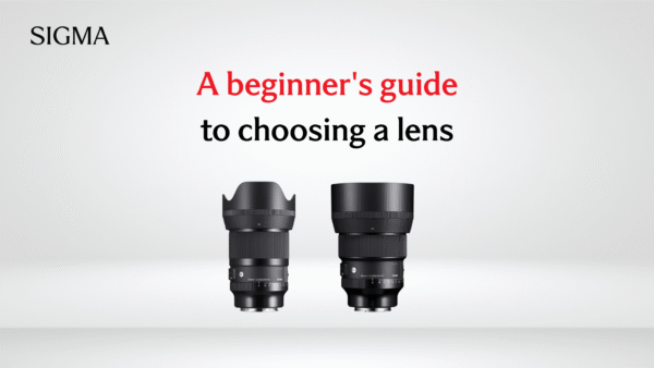 Beginner’s Guide to Choosing the Right Camera Lens