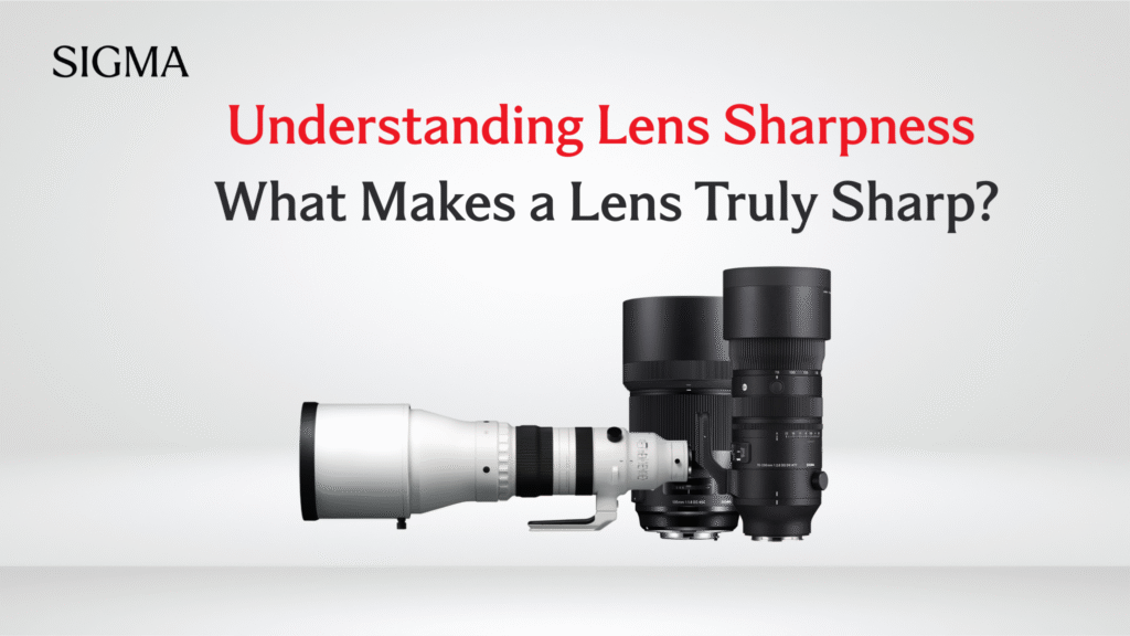 Understanding Lens Sharpness What Makes a Lens Truly Sharp