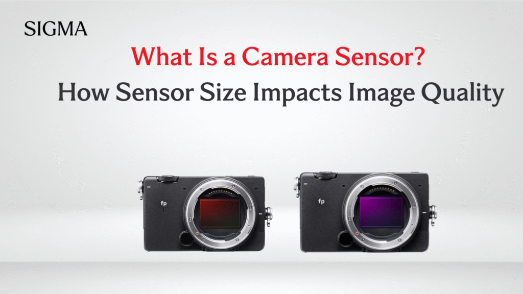 What Is a Camera Sensor_ How Sensor Size Impacts Image Quality