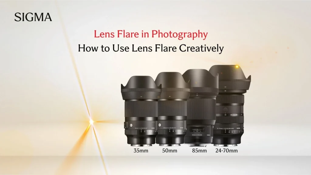Lens Flare in Photography How to Use Lens Flare Creatively - SIgma Pakistan