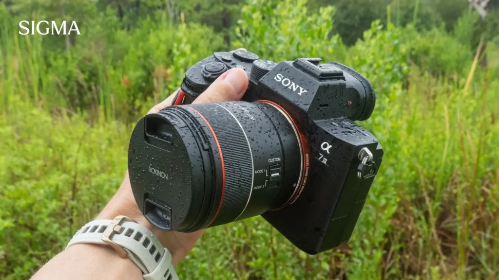rain photography with Weather-Sealed Sigma Lenses