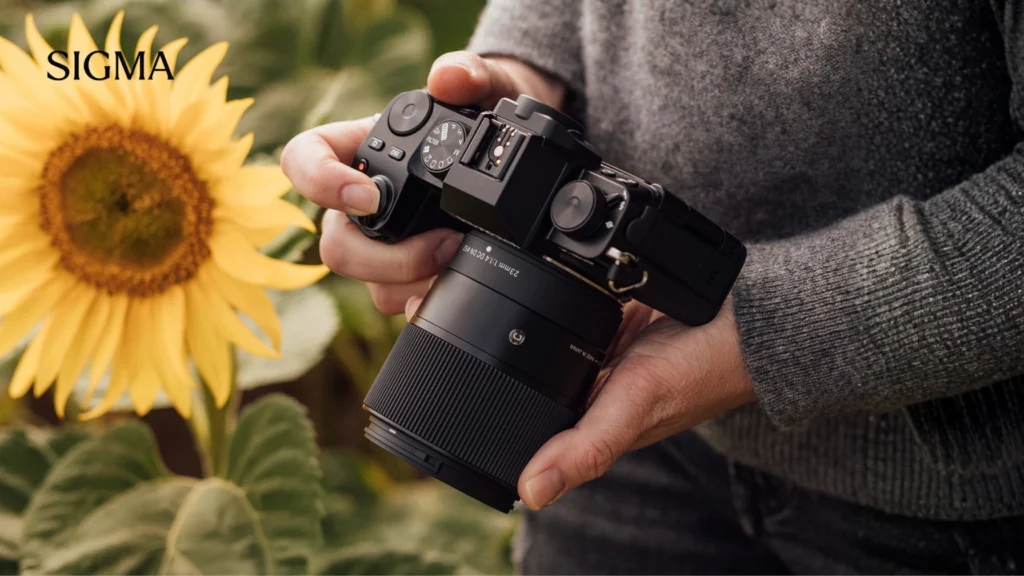 RAW vs JPEG Which Is Better and When Should You Shoot Each